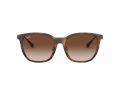 Ray-Ban Gafas de Sol RB 4333D 710/13