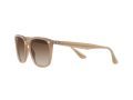 Ray-Ban Gafas de Sol RB 4362 6166/13