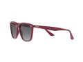 Ray-Ban Gafas de Sol RB 4362 6383/T3
