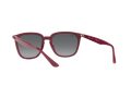 Ray-Ban Gafas de Sol RB 4362 6383/T3