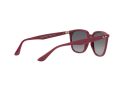 Ray-Ban Gafas de Sol RB 4362 6383/T3
