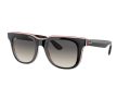 Ray-Ban RB 4368 6518/11 51 Gafas de sol