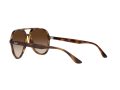 Ray-Ban Gafas de Sol RB 4376 710/13