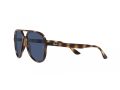 Ray-Ban Gafas de Sol RB 4376 710/80
