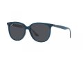Ray-Ban Gafas de Sol RB 4378 669487