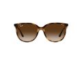 Ray-Ban Gafas de Sol 4378 710/13