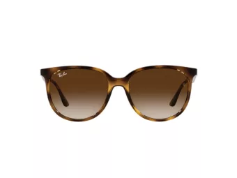 Ray-Ban Gafas de Sol 4378 710/13