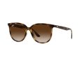 Ray-Ban Gafas de Sol 4378 710/13