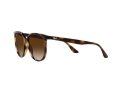 Ray-Ban Gafas de Sol 4378 710/13