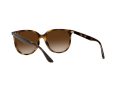 Ray-Ban Gafas de Sol 4378 710/13