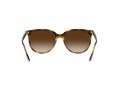 Ray-Ban Gafas de Sol 4378 710/13