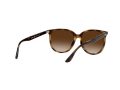Ray-Ban Gafas de Sol 4378 710/13