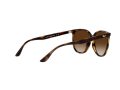 Ray-Ban Gafas de Sol 4378 710/13