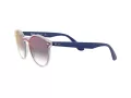 Ray-Ban Blaze Panthos Gafas de Sol RB 4380N 6356/X0