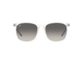 Ray-Ban Gafas de Sol RB 4387 6477/11