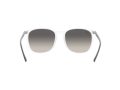 Ray-Ban Gafas de Sol RB 4387 6477/11