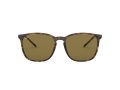Ray-Ban Gafas de Sol RB 4387 710/73