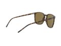 Ray-Ban Gafas de Sol RB 4387 710/73