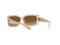 Ray-Ban Gafas de Sol RB 4389 6644/M2_55