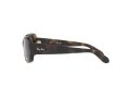 Ray-Ban Gafas de Sol RB 4389 710/31_55