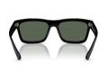 Ray-Ban Warren Gafas de Sol RB 4396 667771