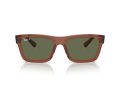 Ray-Ban Warren Gafas de Sol RB 4396 66789A