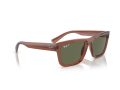 Ray-Ban Warren Gafas de Sol RB 4396 66789A