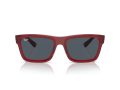 Ray-Ban Warren Gafas de Sol RB 0RB4396 667987
