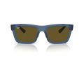 Ray-Ban Warren Gafas de Sol RB 0RB4396 668073