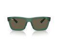 Ray-Ban Warren Gafas de Sol RB 0RB4396 6681/3