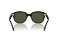 Ray-Ban Erik Gafas de Sol RB 4398 901/31