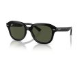 Ray-Ban Erik Gafas de Sol RB 4398 901/31