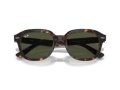 Ray-Ban Erik Gafas de Sol RB 0RB4398 902/31