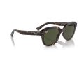 Ray-Ban Erik Gafas de Sol RB 0RB4398 902/31