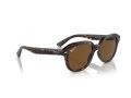 Ray-Ban Erik Gafas de Sol RB 4398 902/57