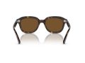 Ray-Ban Erik Gafas de Sol RB 4398 902/57