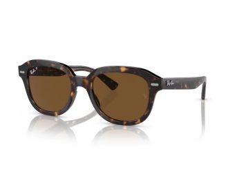 Ray-Ban Erik Gafas de Sol RB 4398 902/57