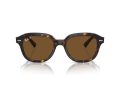 Ray-Ban Erik Gafas de Sol RB 4398 902/57