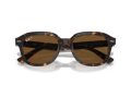Ray-Ban Erik Gafas de Sol RB 4398 902/57