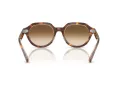 Ray-Ban Gina Gafas de Sol RB 4399 141451_53