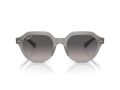 Ray-Ban Gina Gafas de Sol RB 0RB4399 6429M3
