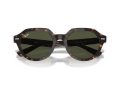 Ray-Ban Gina Gafas de Sol RB 0RB4399 902/31