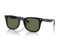 Ray-Ban Gafas de Sol RB 4420 601/9A