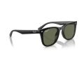 Ray-Ban Gafas de Sol RB 4420 601/9A