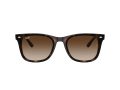Ray-Ban Gafas de Sol RB 4420 710/13