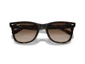 Ray-Ban Gafas de Sol RB 4420 710/13