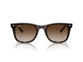 Ray-Ban Gafas de Sol RB 4420 710/13