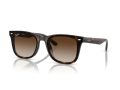 Ray-Ban Gafas de Sol RB 4420 710/13