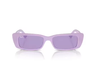 Ray-Ban Teru Gafas de Sol RB 4425 67581A