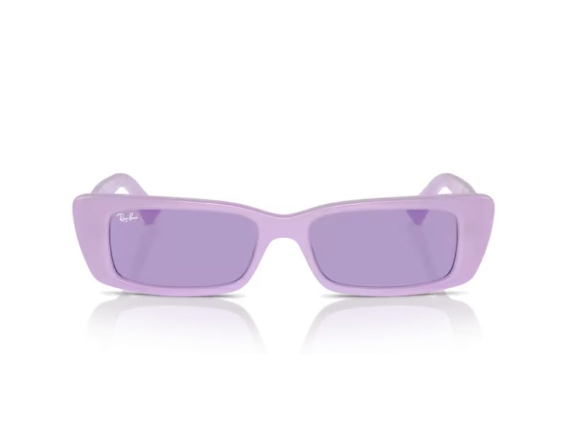 Ray-Ban Teru Gafas de Sol RB 4425 67581A